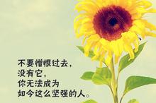150 èӪƷ̲