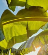 �𱻻�ױƷ�ɷֱ���ס