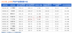 2023汽车行业半年报: